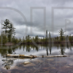 Before the Storm (Dunlop Shores)