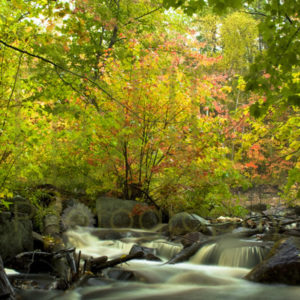 Fall