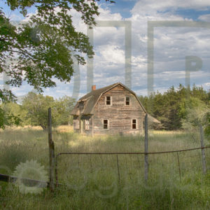 Long Forgotten