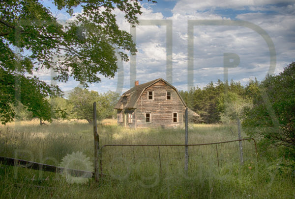 Long Forgotten