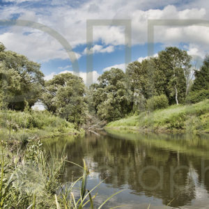 Summertime (Junction Creek)