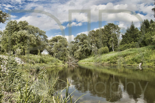 Summertime (Junction Creek)